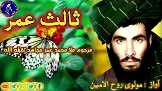 مولوی روح الامین || جمال افغان || jamal afghan #حماسي_ترانې #مولوي_عبدالصمد_صمیم #taliban #رضا_وزیر