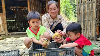 Catch big ducks and sell them at the market to buy baby ducks to raise - DANG THI DU
