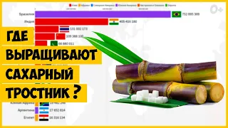 Производство Сахарного Тростника. Статистика по странам (1961-2019)