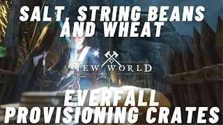 New World | Farm Salt, String Beans, Wheat | Cooking | Everfall Provisioning | KeoChuChu