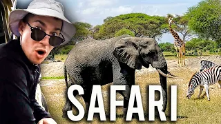 The Ultimate Tarangire National Park Safari in Tanzania 🇹🇿