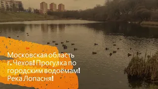 Московская область г. Чехов! Прогулка по городским водоёмам! Река Лопасня!