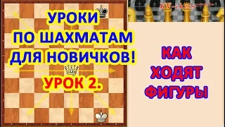 Обучение шахматам начинающих. Урок 2 - Как ходят фигуры.