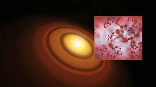 Artist’s impression of the disc around the young star TW Hydrae