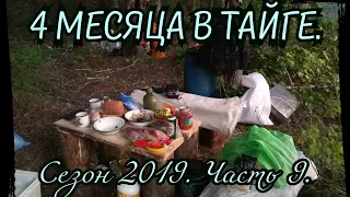 4 месяца в Тайге. Сезон 2019. Часть 9. Рыбалка с подписчиком)))) Промысел. Малосол)))