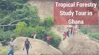 2017 Tropical Forestry Study Tour in Ghana