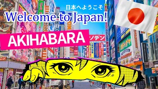 A Glimpse of Akihabara: Where Japan's Tech and Otaku Cultures Collide