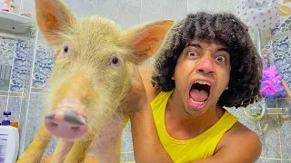 جبت خنزير اضحيه العيد ( ابويا رمانا فى الشارع ) 🐷😱