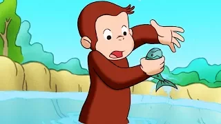 Curious George | The Inside Story / Little Fish, Littler Pond | Full Episode | Cartoons for Children