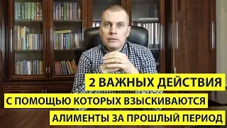 2 важных действия с помощью которых взыскиваются алименты за прошлый период