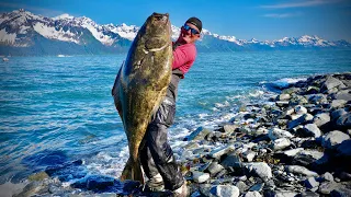 Giant Alaskan HALIBUT on a RENTAL boat! {Catch Clean Cook} my biggest EVER