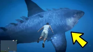 MEGALODON Hai in GTA 5 gefunden !