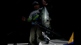 unlock Giant Trevally sa Jigging