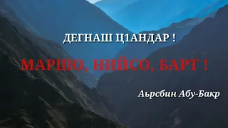 ДЕГНАШ Ц1АНДАР ! Аьрсбин Абу-Бакр