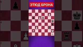 💥ШАХМАТНЫЙ КОНЬ - САМАЯ ОПАСНАЯ ФИГУРА!