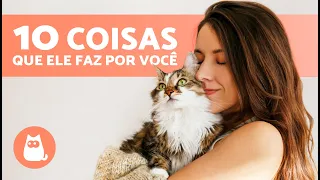 10 COISAS QUE SEU GATO FAZ POR VOCÊ e você não PERCEBE 🐱 Descubra!