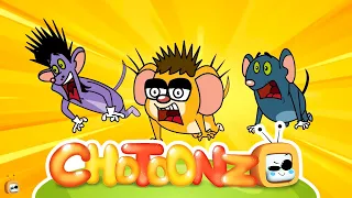 New Full Episodes Rat A Tat Season 12 | Don's Birthday Party & Balloons | Funny Cartoons |ChotoonzTV