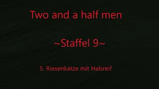 Two and a half men Staffel 9 F 5 - 8 ,tonspur ,einschlafen,Blackscreen,Audio,sleep