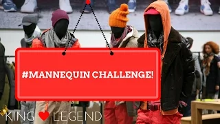 Best Mannequin Challenge Ever!