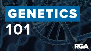 Genetics 101: Genetic Risk to Disease and Polygenic Risk Scores | Part 2