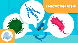 Cosa sono i microrganismi? - Batteri, virus e funghi per bambini