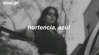 LANA DEL REY - OLD MONEY ( TRADUÇÃOLEGENDADO)