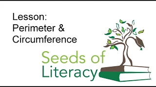 Lesson | Perimeter and Circumference