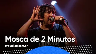 Mosca de 2 Minutos, 35 años de música - Altavoz