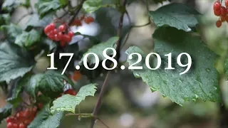 байк-фест Рыбянцево 17 08 2019