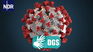 Gebärdensprache: Coronavirus-Update - Sonderfolge | Das Coronavirus-Update von NDR Info | NDR