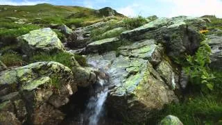 Abkhazia Mountain Spring