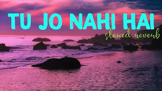 Tu Jo Nahi Hai [ Slowed Reverb ] - Glenn John , Pritam | Woh Lamhe