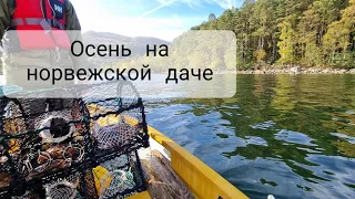 Осень на даче в Норвегии. Крабы, суп из шиповника и другие радости 🙂