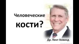 Если был Всемирный Потоп, то где все человеческие кости? Др. Кент Ховинд