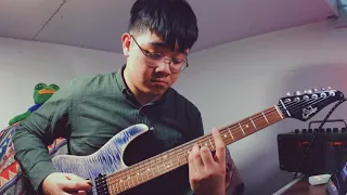 Chon - rosewood guitar cover