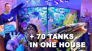 HOUSE TOUR - *private aquariums* with luxury animals + REEF TANK UPDATE -  unique!