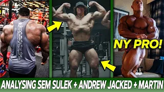 Sam Sulek Does All Mandatory Bodybuilding Poses + Andrew Jacked NEW BACK + Martin Fitzwater NY Pro!