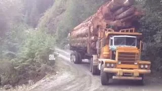 Pacific p16 Loaded in Tahsis October 2012