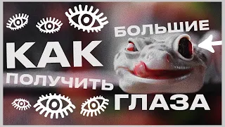 СЕКРЕТЫ И ЛАЙФХАКИ СОДЕРЖАНИЯ ЭУБЛЕФАРА | РЕДКИЕ МОРФЫ