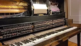 1920 Waldorf player piano plays QRS roll 10-588, "Southern Nights"