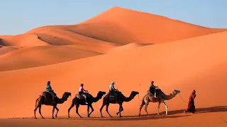 Red Dunes Of The Merzouga Desert In Morocco | TRACKS