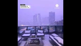 Halloween Thundersnow in Chicago! 🎃❄️
