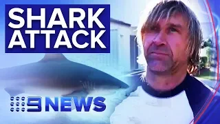 Stand-up paddleboarder injured in suspected shark attack on Sunshine Coast | Nine News Australia