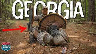 Georgia BIG Timber Gobbler | Eastern Turkey For The Grand Slam | Part 2