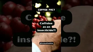 Caffeine as an insecticide? #shorts