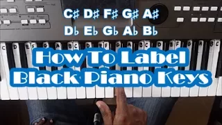 Piano Key Notes for Beginners Lesson 2 - Black Piano Keys Labeled - Names - Letters