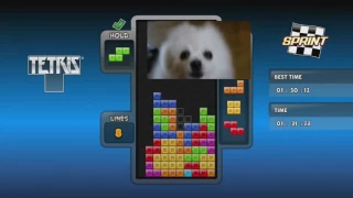 tetris main theme (gabe the dog remix) 1 hour