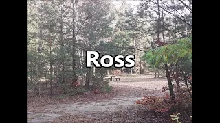ROSS as a Family Name   Meaning and Origin