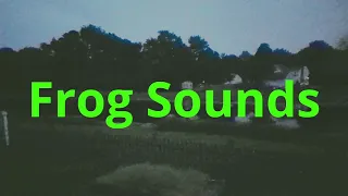 Frog Sounds