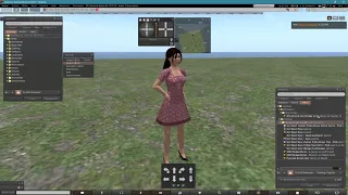 Second Life - Reset to a non-tainted avatar for animation testing